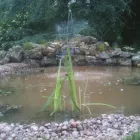 Business 2 image HAMPTON GARDENING & LANDSCAPE SERVICES LTD Tree Services in Solihull We