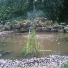 Business 4 image HAMPTON GARDENING & LANDSCAPE SERVICES LTD Tree Services in Solihull We