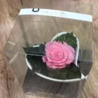 Business 4 image HAMSTEL ROAD FLORIST Shopping & Retail in Southend-On-Sea Es