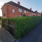 Business 6 image HAN'S HANDY HANDS PROPERTY & GARDEN MAINTENANCE Painters & Decorators in Yeovil So