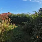 Business 9 image HAN'S HANDY HANDS PROPERTY & GARDEN MAINTENANCE Painters & Decorators in Yeovil So