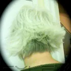 Business 28 image HARVEY'S HAIR AT HOME BY MARIE Mobile Hairdressers in Taunton So