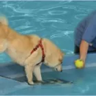 Business 6 image HARVEYS FURNISHING GROUP LTD Furniture - Retail in FAREHAM Ha