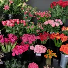 Business 1 image HARVEYS THE FURNITURE STORE Furniture Shops in Yeovil So