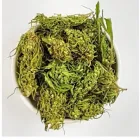 Business 1 image HEALTH EMBASSY Herbs & Spices in Cheltenham Gl