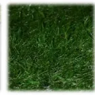 Business 6 image HEDERA SCREENS LTD Landscapers in Moira Un