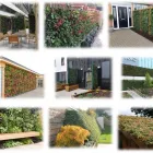 Business 12 image HEDERA SCREENS LTD Landscapers in Moira Un