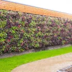Business 15 image HEDERA SCREENS LTD Landscapers in Moira Un
