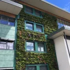 Business 16 image HEDERA SCREENS LTD Landscapers in Moira Un