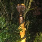 Business 1 image HENRY'S MOTORS Car Body Repairs in Leicester Le