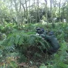 Business 8 image HESWALL COMPUTERS Computer Services in Wirral Me