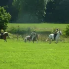Business 1 image HIGH ROAD P.O Post Offices in Nottingham No