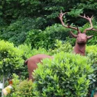 Business 7 image HILLIER GARDEN CENTRE DORKING Plant Nurseries & Garden Centres in Dorking Su