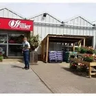 Business 53 image HILLIER GARDEN CENTRE HEMEL HEMPSTEAD Restaurants in Hemel Hempstead He