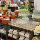 Business 21 image HILLIER GARDEN CENTRE LISS Shopping & Retail in Petersfield Ha