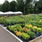 Business 20 image HILLIER GARDEN CENTRE SUNNINGDALE Plant Nurseries & Garden Centres in Windlesham Su