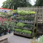 Business 70 image HILLIER GARDEN CENTRE WINCHESTER Restaurants in Winchester Ha