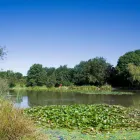 Business 38 image HOLIDAY INN BRISTOL - FILTON, AN IHG HOTEL Wedding Venues in Bristol Av