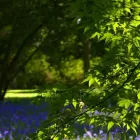 Business 46 image HOLIDAY INN BRISTOL - FILTON, AN IHG HOTEL Wedding Venues in Bristol Av