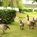 Business 53 image HOLIDAY INN BRISTOL - FILTON, AN IHG HOTEL Wedding Venues in Bristol Av