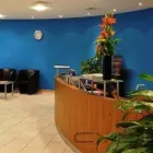 Business 2 image HOMEOCLINIC Homeopaths in Slough Be