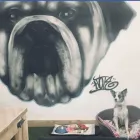 Business 8 image HOUSE OF HOUND HYDROTHERAPY Veterinary Services in Huddersfield We