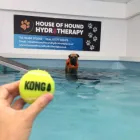Business 17 image HOUSE OF HOUND HYDROTHERAPY Veterinary Services in Huddersfield We