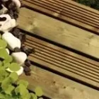 Business 9 image HOWARTH TIMBER AND BUILDING SUPPLIES LTD - THORNE Wood in Doncaster So