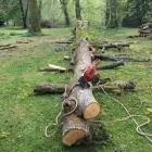 Business 3 image HOWE TREE SURGERY Tree Services in Crewkerne So