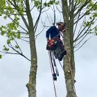 Business 9 image HOWE TREE SURGERY Tree Services in Crewkerne So