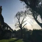 Business 15 image HOWE TREE SURGERY Tree Services in Crewkerne So