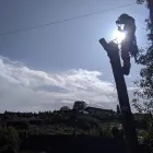Business 16 image HOWE TREE SURGERY Tree Services in Crewkerne So