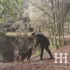 Business 4 image HOWL AND HOUND Pets & Animals in Motherwell La