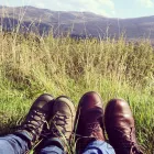 Business 8 image HOWL AND HOUND Pets & Animals in Motherwell La