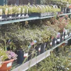 Business 4 image HSBC BANK PLC Banks & Financial Institutions in Doncaster So