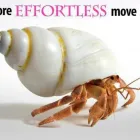 Business 5 image HUGHES & CO Solicitors in Tring He