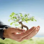 Business 2 image HUGHES & CO Solicitors in Tring He