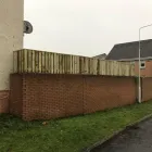 Business 9 image HUNTER PROPERTY SERVICES Lawn Care Services in Dunfermline Fi