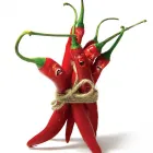 Business 9 image IDENTIGN Web Design in FAREHAM Ha