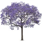 Business 1 image INCE WEB SERVICES LTD Internet Services in Swadlincote De