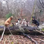 Business 1 image INDEPENDENT INSURANCE SERVICES Property & Liability Insurance in Folkestone Ke