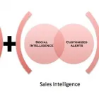 Business 1 image INTELLIGENCE PROFILES LTD Detective Agencies in Altrincham Ch