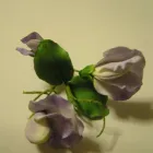 Business 14 image INTEX DECOR Painters & Decorators in Dorset Do