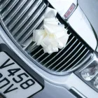 Business 19 image INTUITO PORTRAIT & WEDDING PHOTOGRAPHY Wedding Photographers in Bristol Av