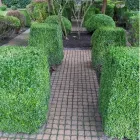 Business 11 image J H GARDEN SERVICES LTD Tree Services in Godalming Su