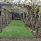 Business 14 image J H GARDEN SERVICES LTD Tree Services in Godalming Su