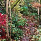 Business 15 image J H GARDEN SERVICES LTD Tree Services in Godalming Su