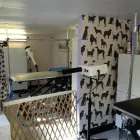 Business 2 image J.J BROWNE & SON (JEWELLERS) LTD Jewellers in Caterham Su