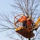 Business 2 image J R B TREE WORK Tree Services in Sarratt He
