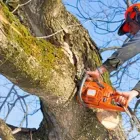 Business 3 image J R B TREE WORK Tree Services in Sarratt He